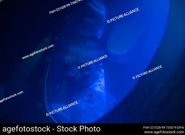 27 October 2023, Brandenburg, Potsdam: A dead doctor looks through a porthole at the Horror Nights 2023 at Filmpark Babelsberg