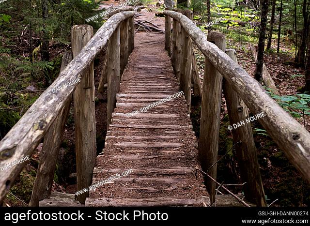 Log Footbridge over Stream in Woods