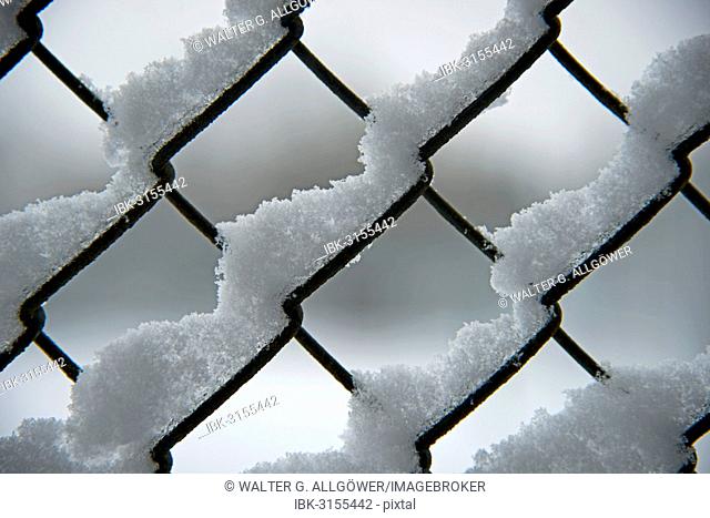 Snow on a chain link fence