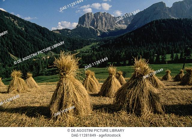 Haystacks, Longiaru, Trentino-Alto Adige, Italy