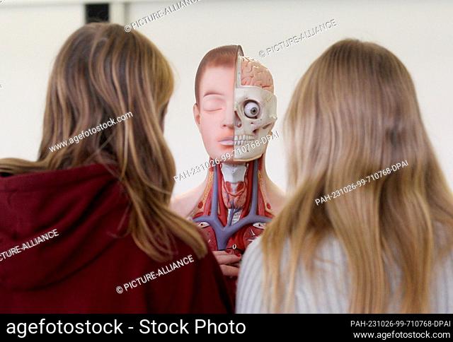 PRODUCTION - 18 October 2023, North Rhine-Westphalia, Gelsenkirchen: Students of the Bio Leistungskurs from the Max Plank Gymnasium look at the cut open body of...