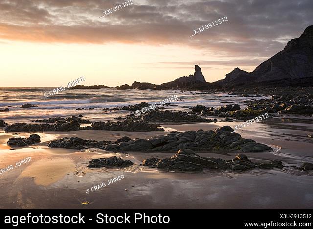 The exposed beach during low tide at Hartland Quay in the North Devon Area of Outstanding Natural Beauty at sunset, England