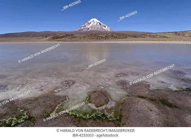 Sajama Volcano and frozen lake on Rio Sajama, Sajama National Park, Oruro, border between Bolivia and Chile