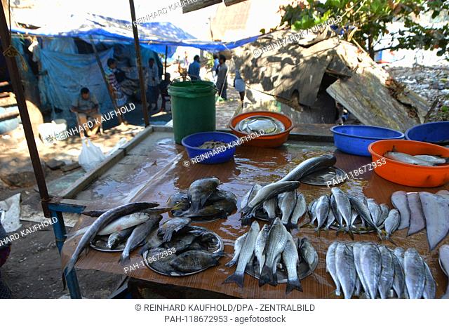 Fish is offered on the coast in Kochi (Cochin) on the Arabian Sea in southern India, recorded on 14.02.2019 | usage worldwide. - Kochi/Kerala/Indien