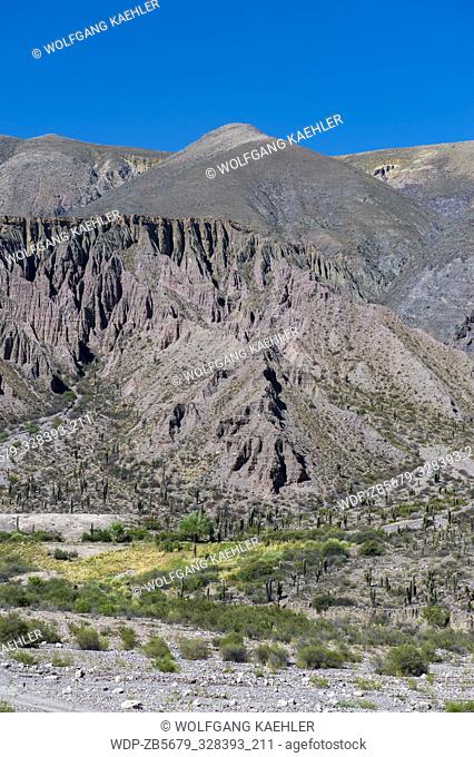 Landscape with interesting rock formations created by erosion and Cardon cacti along Highway 52 near Purmamarca in the Andes Mountains, Jujuy Province