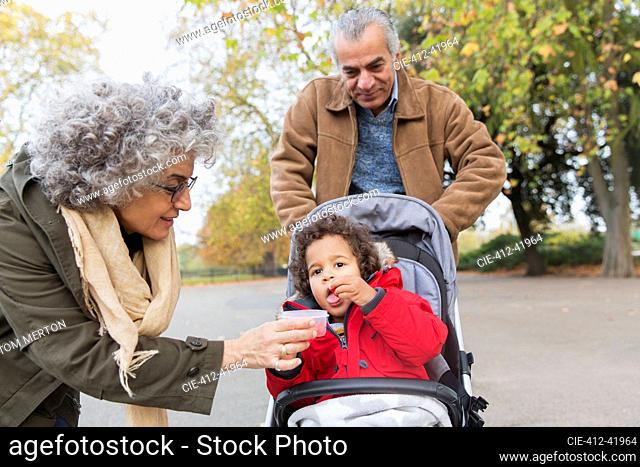 Grandparents feeding grandson in stroller at park