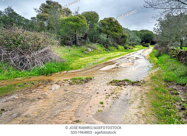 Las Juntas road in La Adrada. Avila. Castilla Leon. Spain