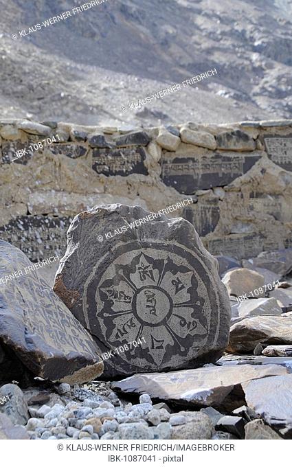 Mani (prayer inscribed) stones with Mantras on a Mani wall in the oasis Hundar, Nubra Valley, Ladakh, Jammu and Kashmir, North India, India, Asia