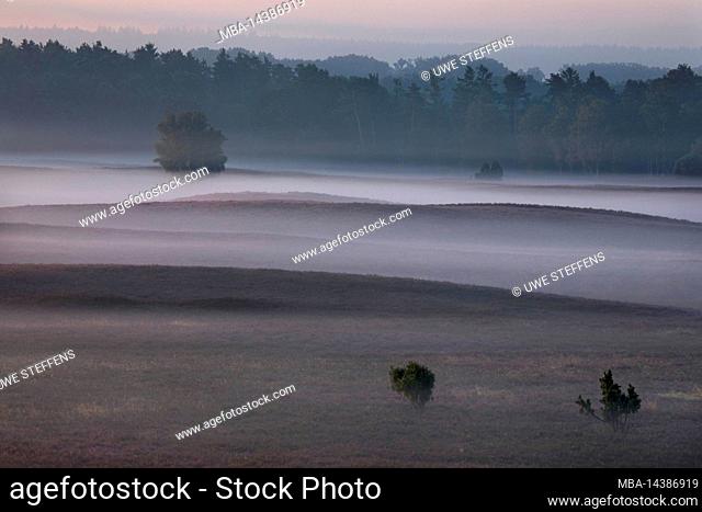 Morning ground fog over the heath near Döhle