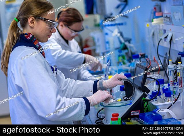 PRODUCTION - 24 October 2023, Mecklenburg-Western Pomerania, Teterow: Janine Mayer prepares a sample in the manufacturing process development lab of Miltenyi...