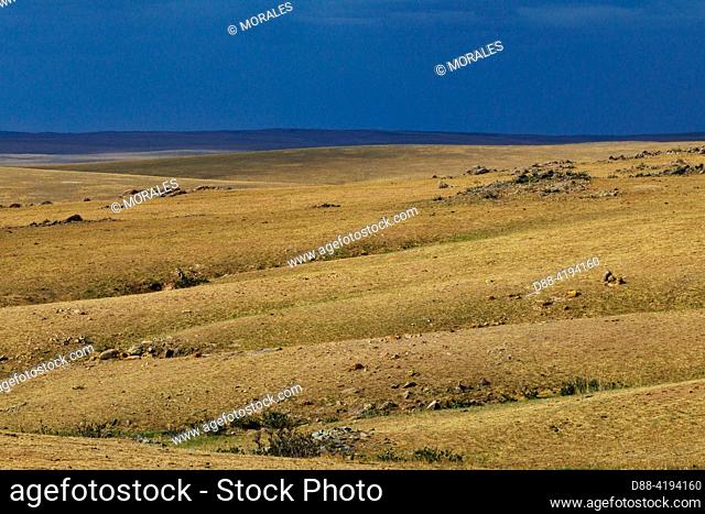 Asia, Mongolia, Eastern Mongolia, Steppe, Granitic Chaos, Biotope of the Pallas' Cat or Manul (Otocolobus manul)