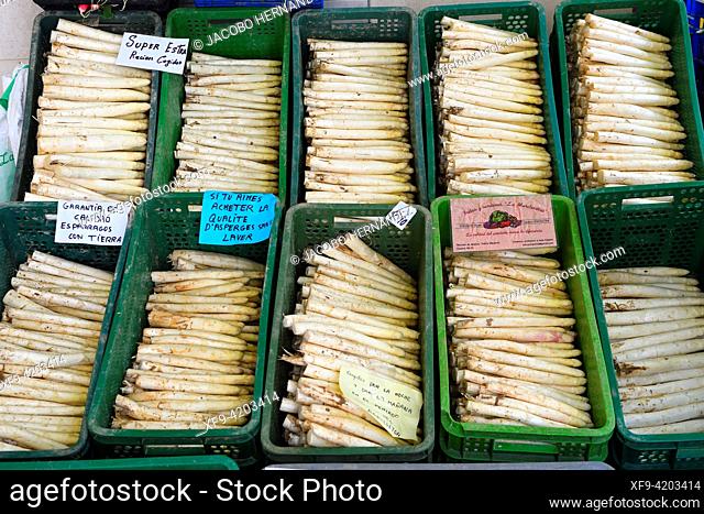 Famous asparagus in the market. Tudela. Navarra province. Spain