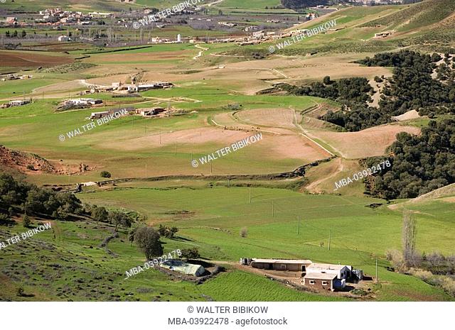 Morocco, Azrou, field-landscape, mountains, Africa, North-Africa, landscape, nature, hilly, hills, fields, meadows, houses, view, wideness, distance, horizon