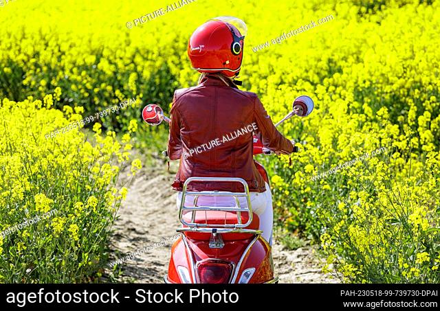 18 May 2023, Schleswig-Holstein, Altenholz: A woman rides her motorized scooter in bright sunshine along a country lane that leads through a field of rape in...
