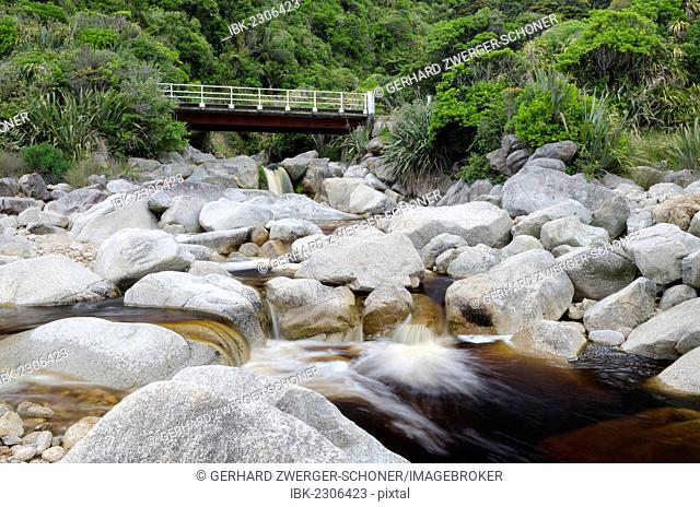 Bridge over a stream with brown water, coloured by plant tannins, condensed proanthocyanidins, Karamea, Kohaihai, South Island, New Zealand, Oceania