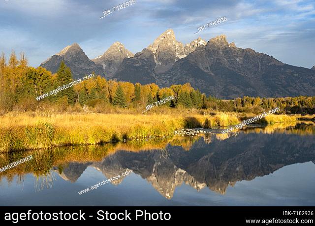 Autumn landscape with Grand Teton Range mountains, in morning light, reflected in the river, Snake River, Grand Teton and Middle Teton peaks