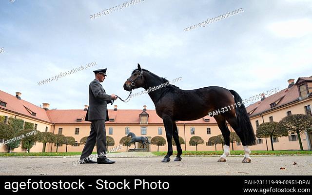 dpatop - PRODUCTION - 16 November 2023, Saxony, Moritzburg: Phil Teifel, stud keeper at Moritzburg State Stud, stands in front of the life-size bronze sculpture...