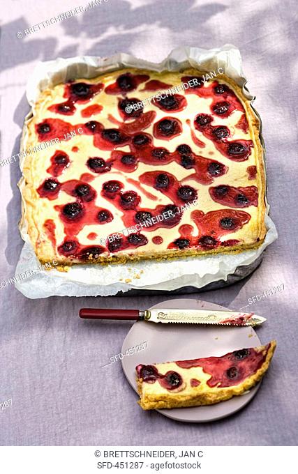 Blackberry and semolina tray bake cake