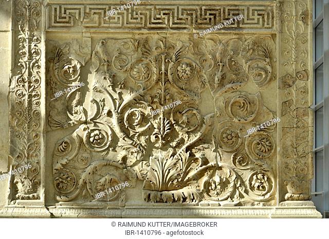 Ornamental relief with flora and fauna, Altar of Augustan Peace, Ara Pacis Augustae, westside, Rome, Lazio, Italy, Europe