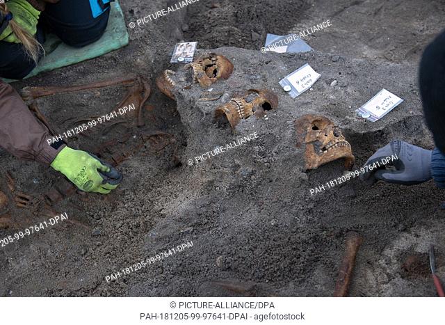 05 December 2018, Schleswig-Holstein, Fehmarn: Employees of the Schleswig-Holstein Archaeological State Office uncover three skulls and the skeleton at the...