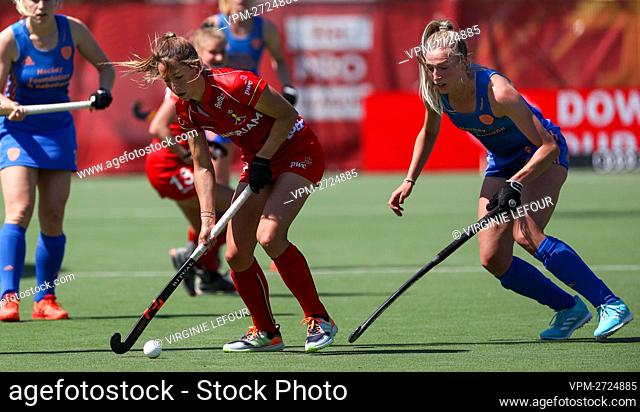 Belgium's Barbara Nelen and Netherlands' Margot Van Geffen fight for the ball during a hockey match between the Belgian Red Panthers and The Netherlands in the...