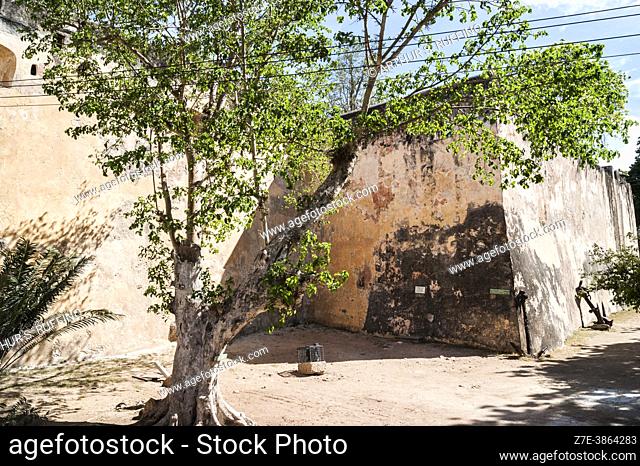 Exterior, Fort Jesus, Old Town, Mombasa, Kenya, Africa