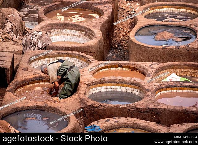 Fes, Morocco, Famous tannery in the medina of Fes, where leather is being processed for generations, Morocco