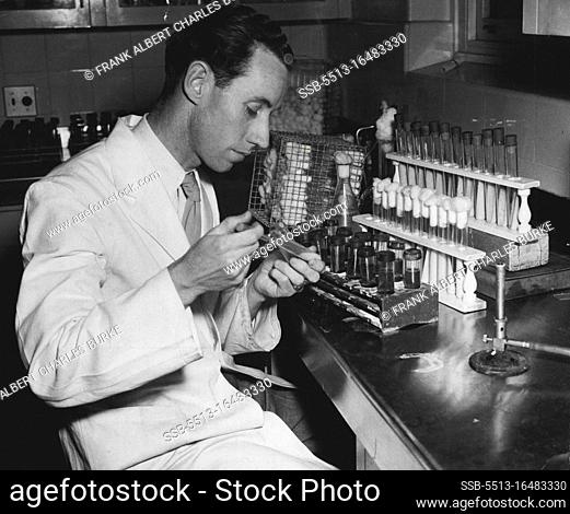 Mr. T.J. Bell, pathology technician at the NSW Anti-T.B. Assocn's chest clinic at Surry Hills, culturing tubercular bacilli in readiness for the Town Hall...