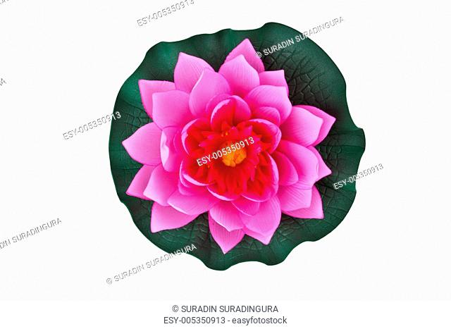 Artificial Pink Lotus on a White Background