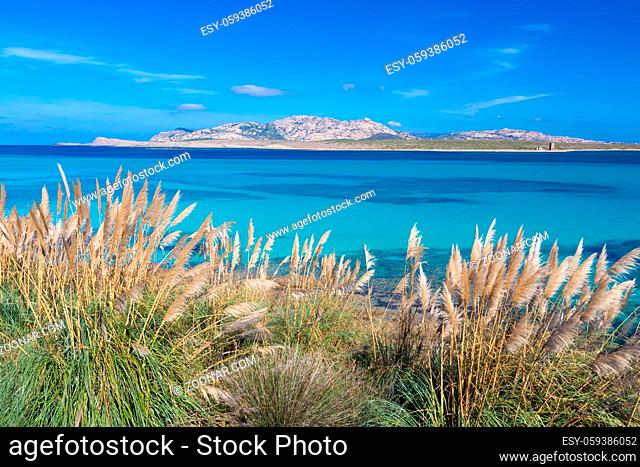 Beautiful turquoise blue mediterranean Pelosa beach near Stintino, Sardinia, Italy