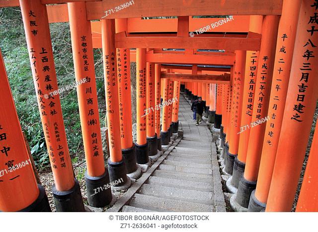 Japan; Kyoto; Fushimi Inari Taisha Shrine, torii gates,
