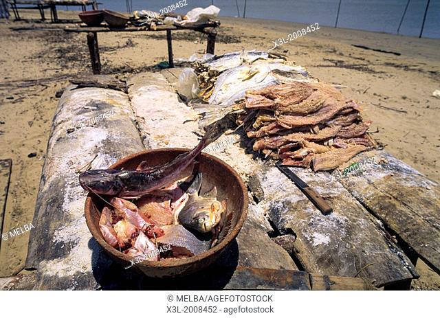 Drying fish. Orinoco Delta. Venezuela