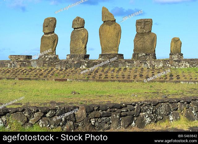 Moais in the Tahai Ceremonial Complex, Hanga Roa, Rapa Nui National Park, Easter Island, Chile, Unesco World Heritage Site, South America