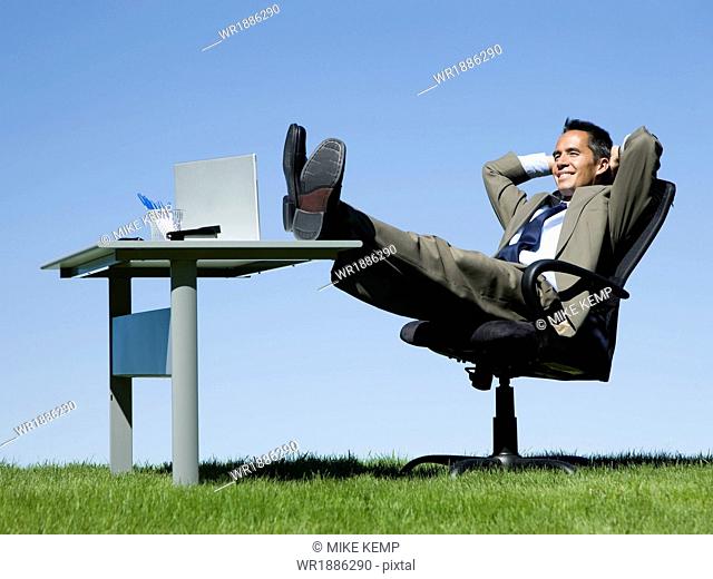 businessman at his desk in a grassy field