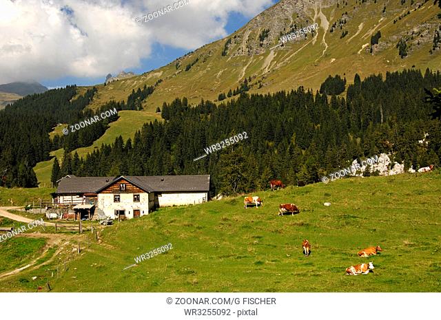 Einsamer Bergbauernhof am Col du Pillon, Les Diablerets, Schweiz / Lone mountain farm near Col du Pillon, Les Diablerets, Switzerland
