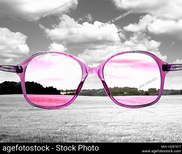Seeing the world through rose colored glasses
