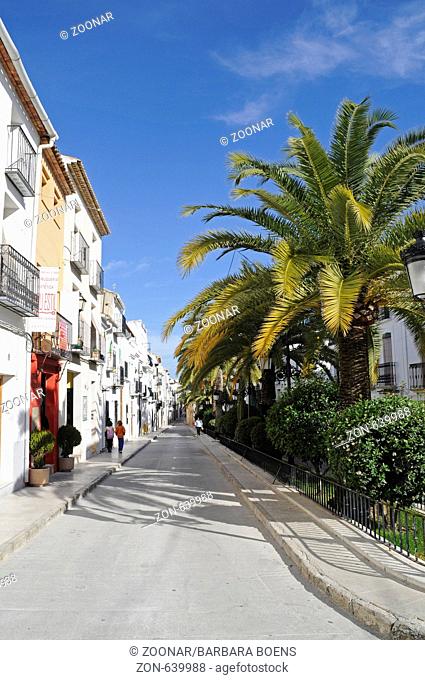 Strasse mit Palmen in der Altstadt, Benissa, Alicante, Costa Blanca, Spanien