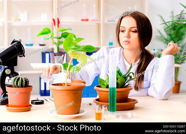 Young beautiful biotechnology chemist working in the lab