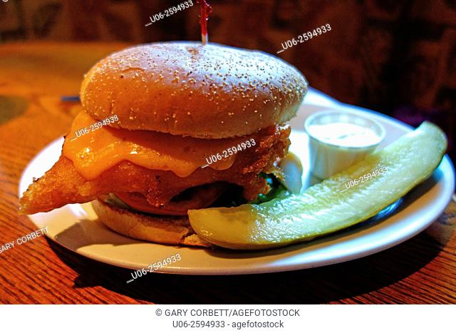 A chicken burger on a plate with a dill pickel