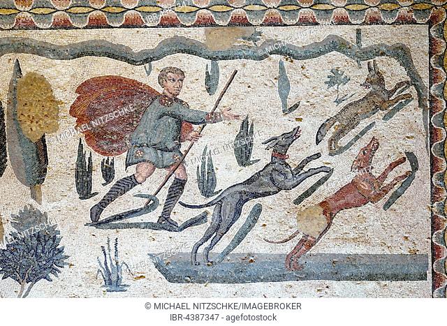 Ancient floor mosaic, Villa Casale, Villa Romana del Casale, Piazza Armerina, Sicily, Italy