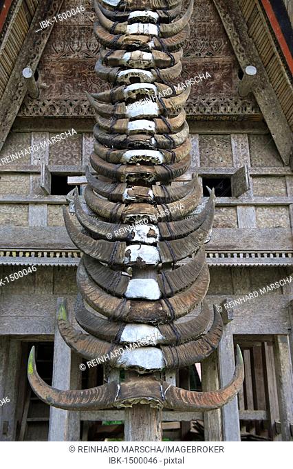 Buffalo horns and details of a traditional Toraja house, Ke'te Kesu' village near Rantepao, Sulawesi, Indonesia, Southeast Asia