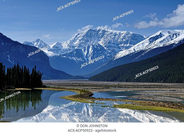 Mt. Kitchener reflected in the Beauty Creek pool near the Sunwapta River, Jasper, Alberta, Canada