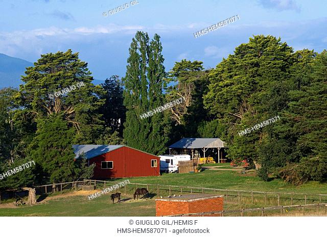 Australia, Victoria, wine-producing region of Yarra Valley at north east of Melbourne, ranch of Yering George Cottages around Yarra Glen