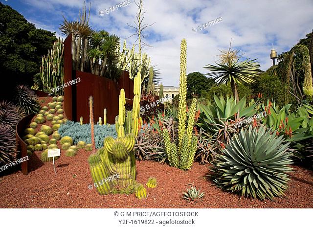 desert plants, Royal Botanic Gardens, Sydney