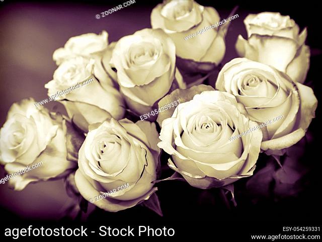 Still life : a beautiful bouquet of roses on dark background. The view from the top