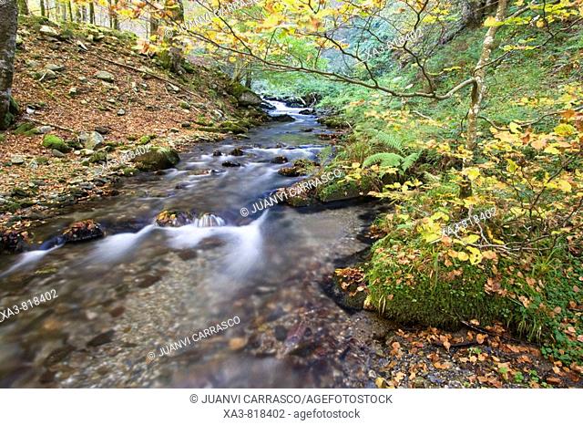 River at autumn, Selva de Irati forest, Navarra, Pyrenees, Spain