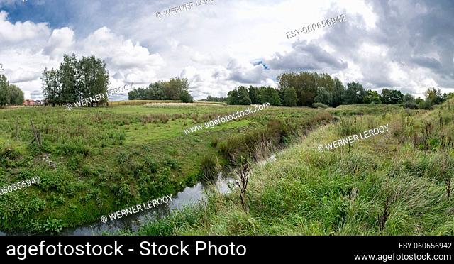 Creek through a wild field in a Flemish nature park