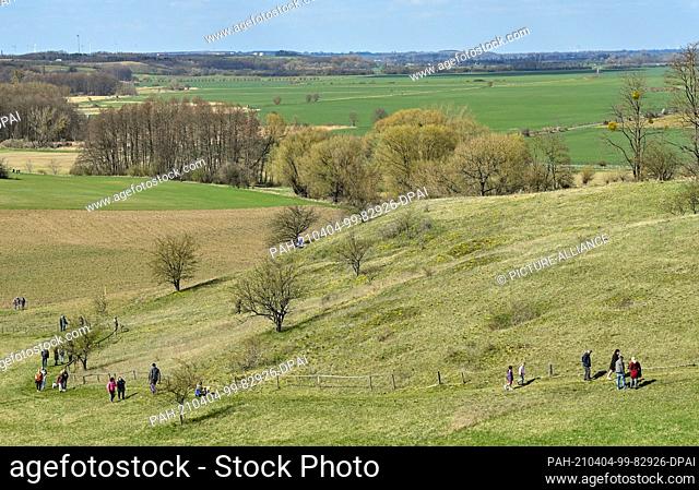 04 April 2021, Brandenburg, Mallnow: In bright sunshine on Easter Sunday many visitors are on the slopes to the Oderbruch with the blooming Adonis roses