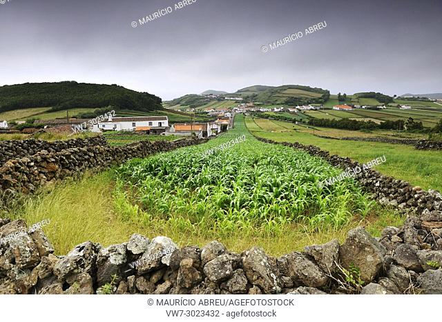 The rural landscape in Esperança Velha. Graciosa island, Azores. Portugal