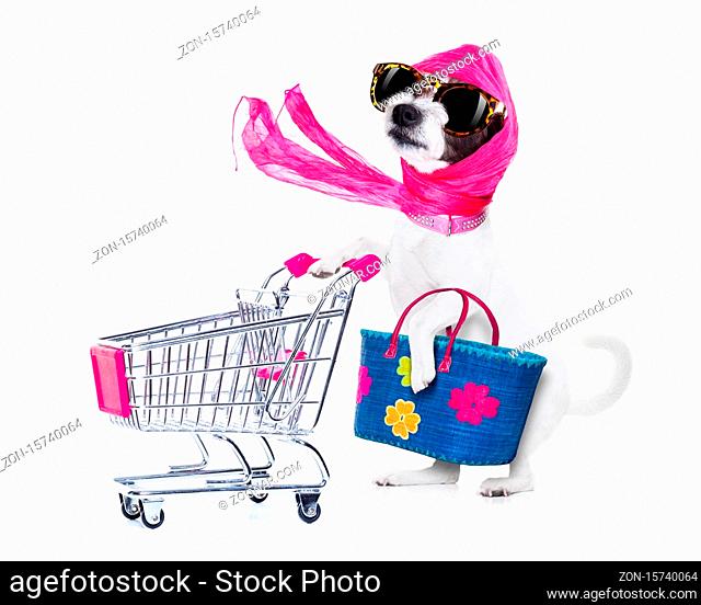 crazy and silly poodle dog diva lady with bag pushing empty supermarket cart , isolated on white background